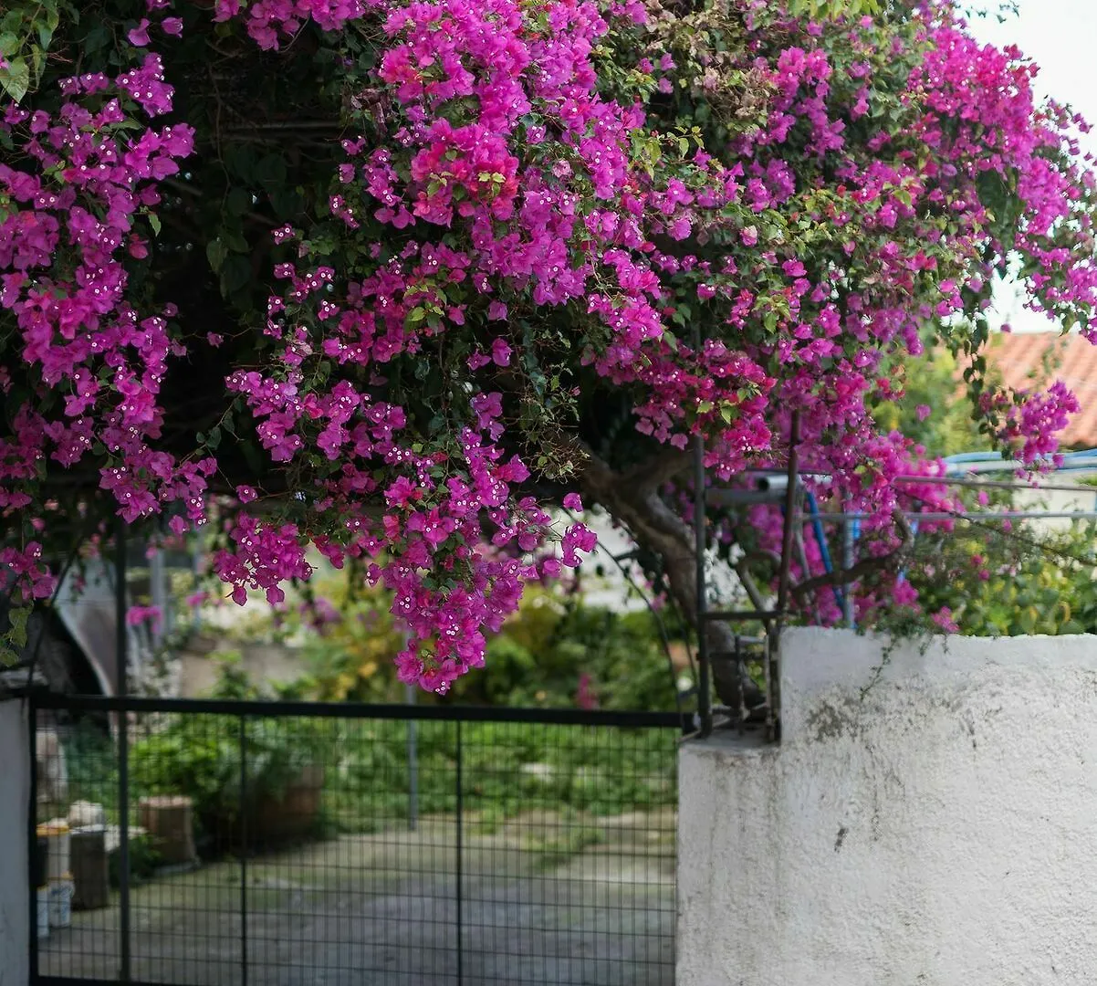 Jasmine Holiday Villa Rethymno  Rethymno (Crete)